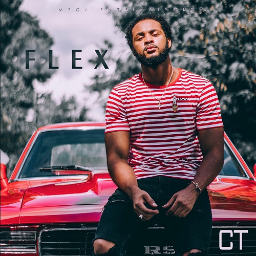 [Video] CT – Flex @ctf_iv