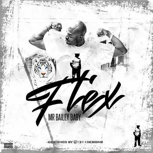 [Single] Mr. Bailey Baby – Flex @mrbaileybaby